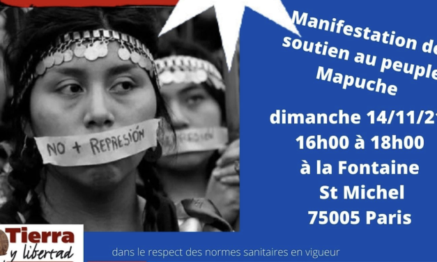 Manifestación de apoyo al pueblo mapuche – paris 14/11/2021 16h00-18h00 fontaine st michel